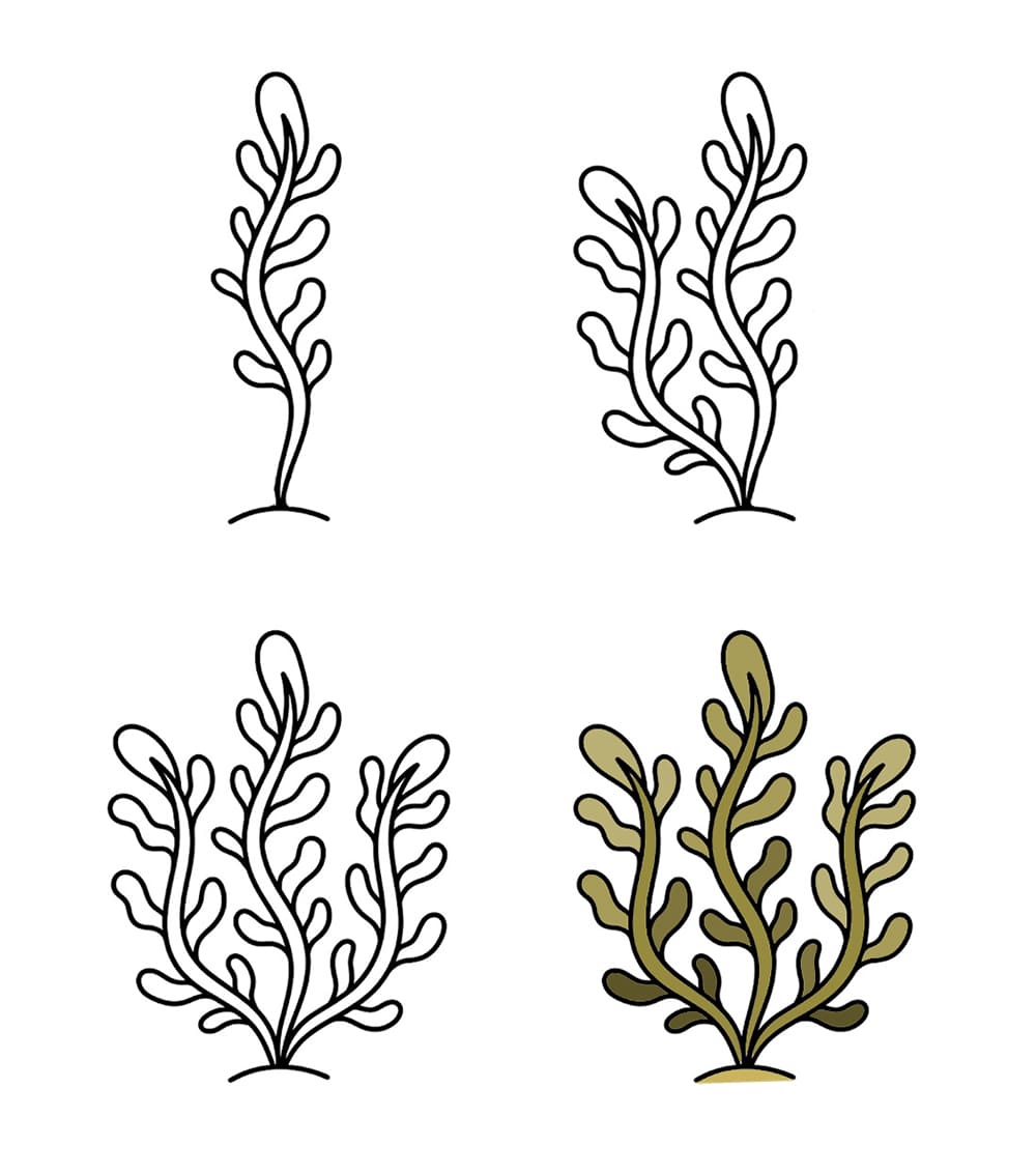Seaweed for kids Drawing Ideas
