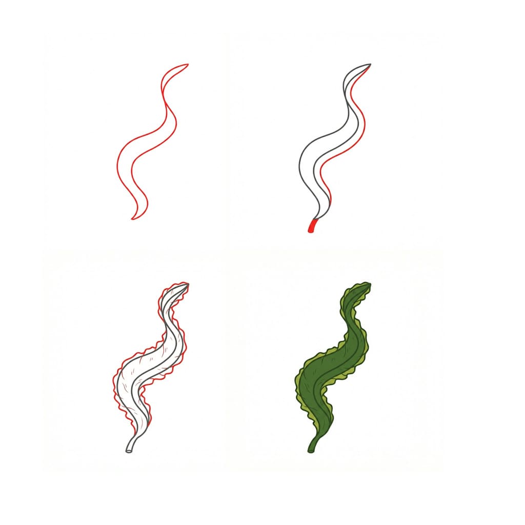 Short seaweed leaf Drawing Ideas