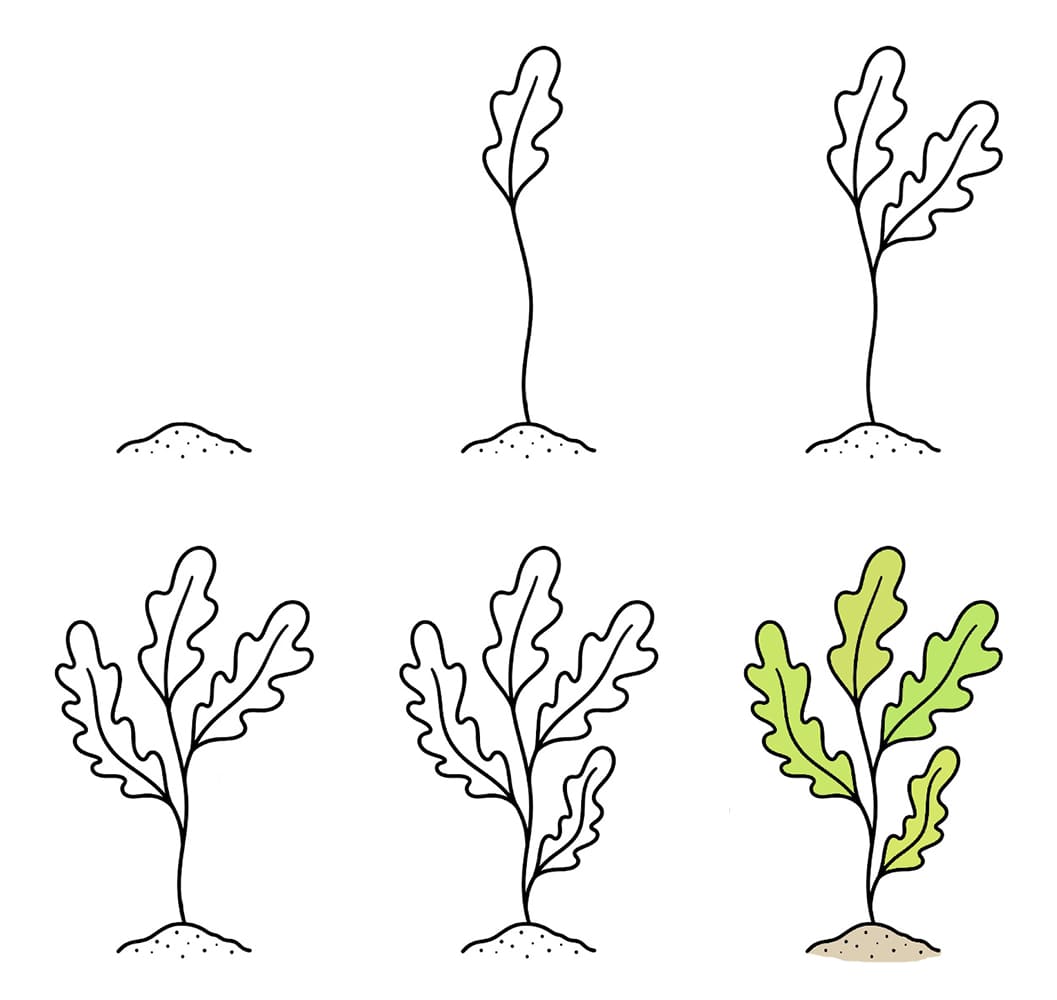 Simple seaweed Drawing Ideas