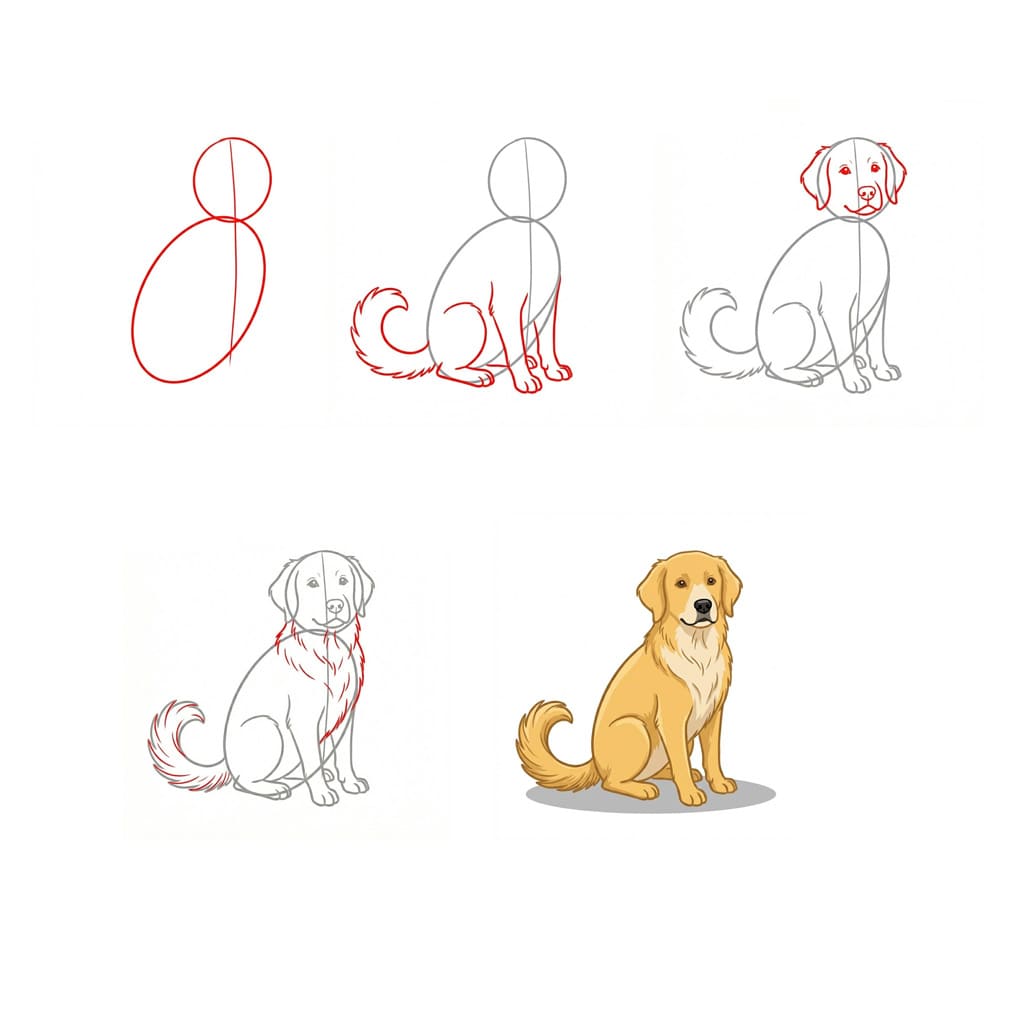 Sitting Golden Retriever Drawing Ideas