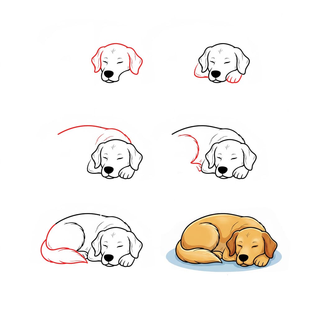 Sleeping Golden Retriever Drawing Ideas