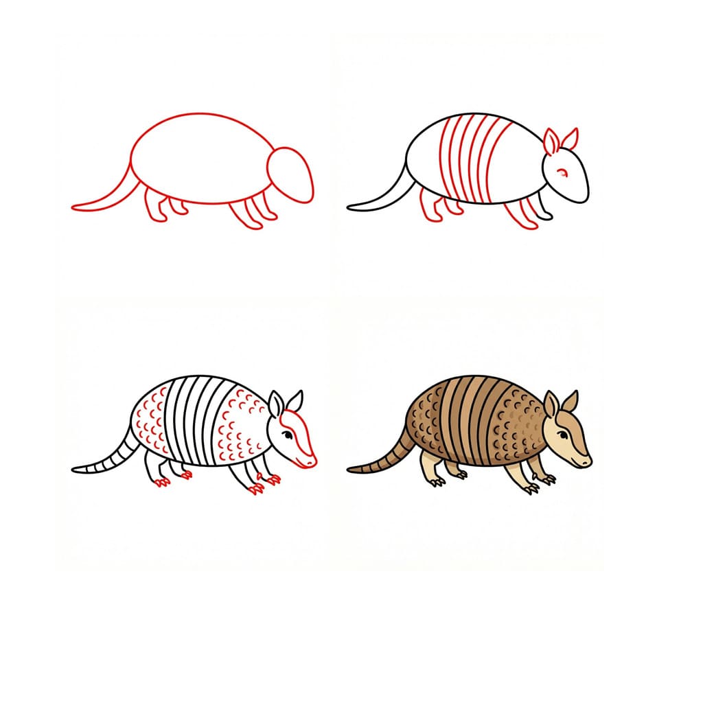 Small armadillo Drawing Ideas