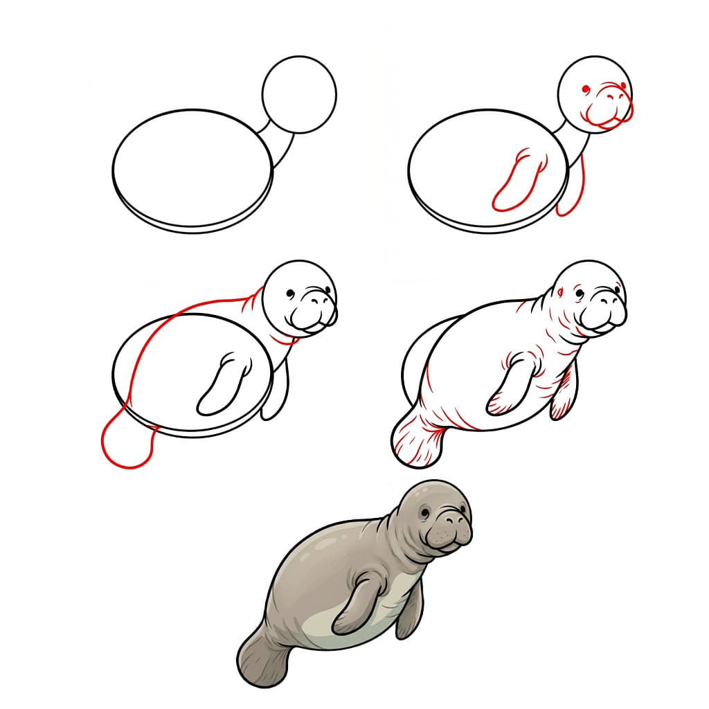 Small manatee Drawing Ideas