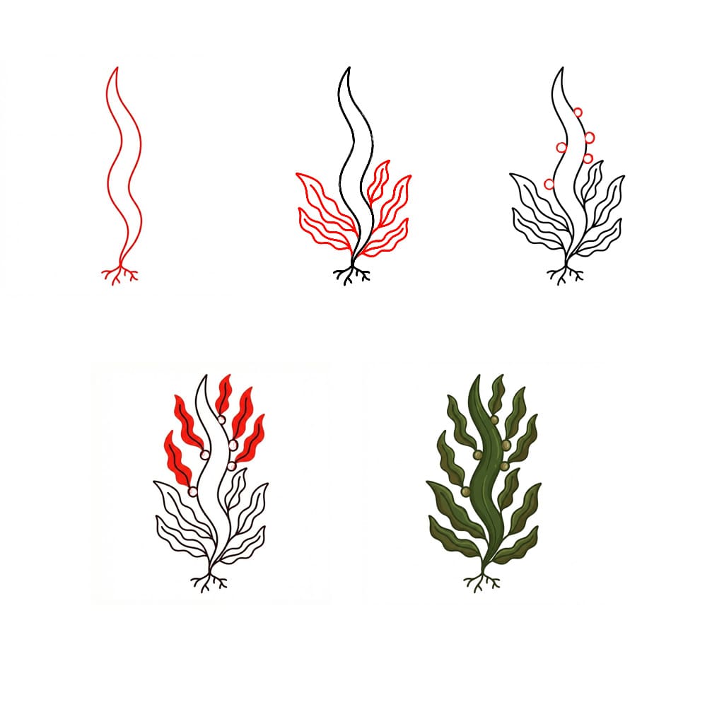 Spiral Wrack seaweed Drawing Ideas