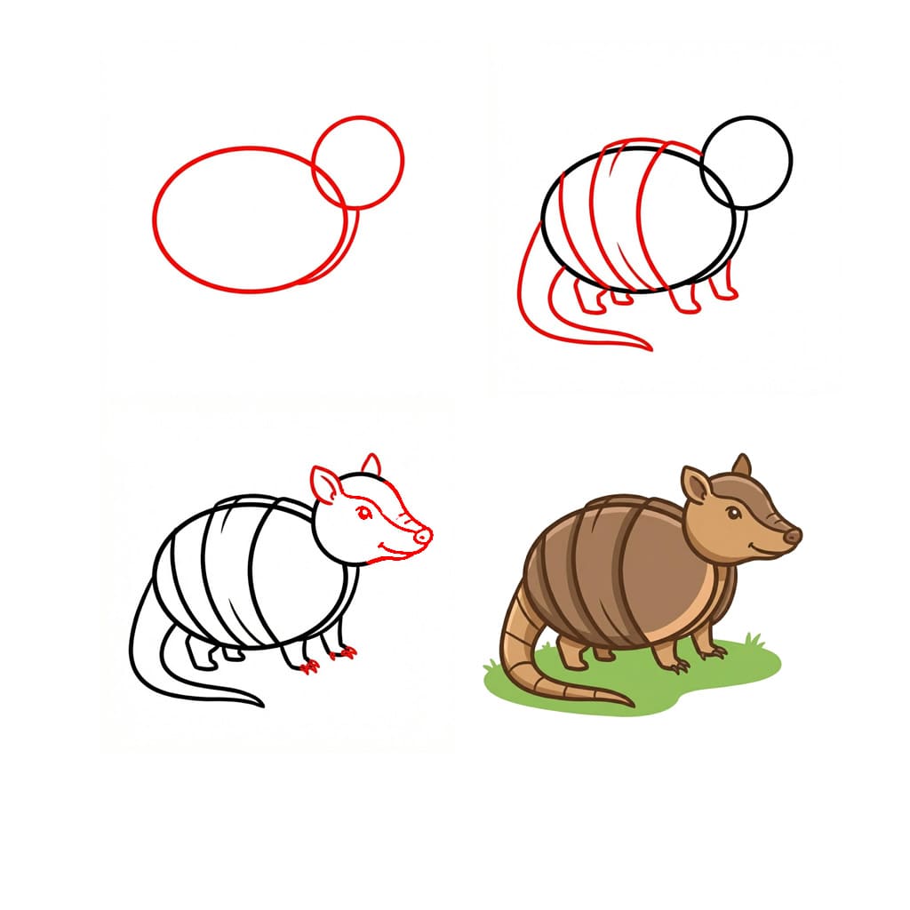 Three-banded armadillo Drawing Ideas
