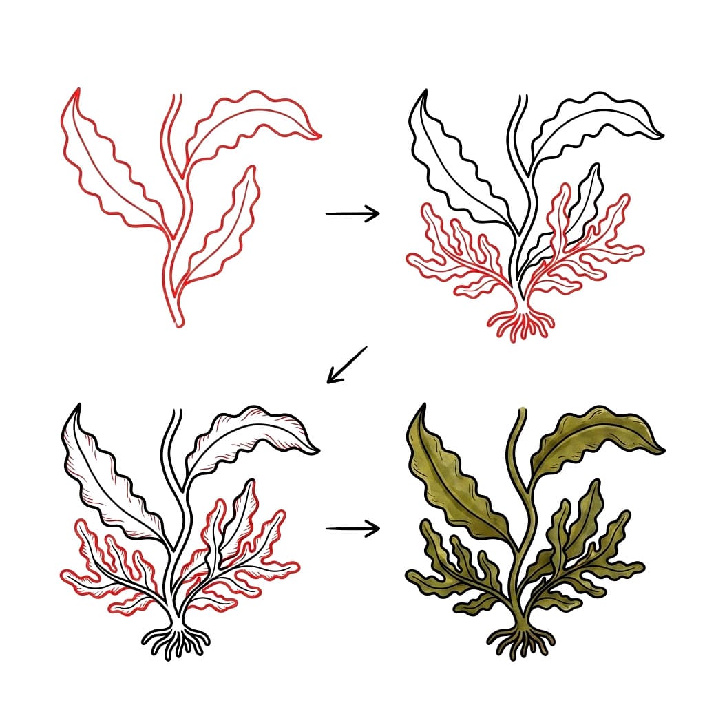 Wakame seaweed Drawing Ideas