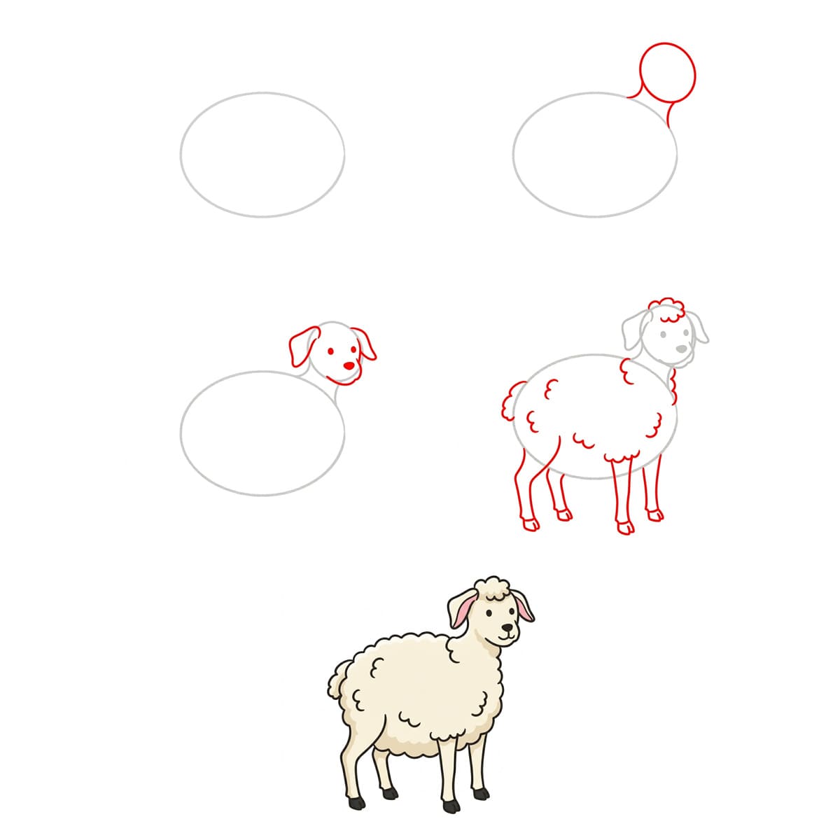 A Lamb Drawing Ideas