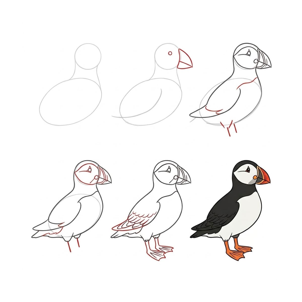 A Sea Puffin Drawing Ideas