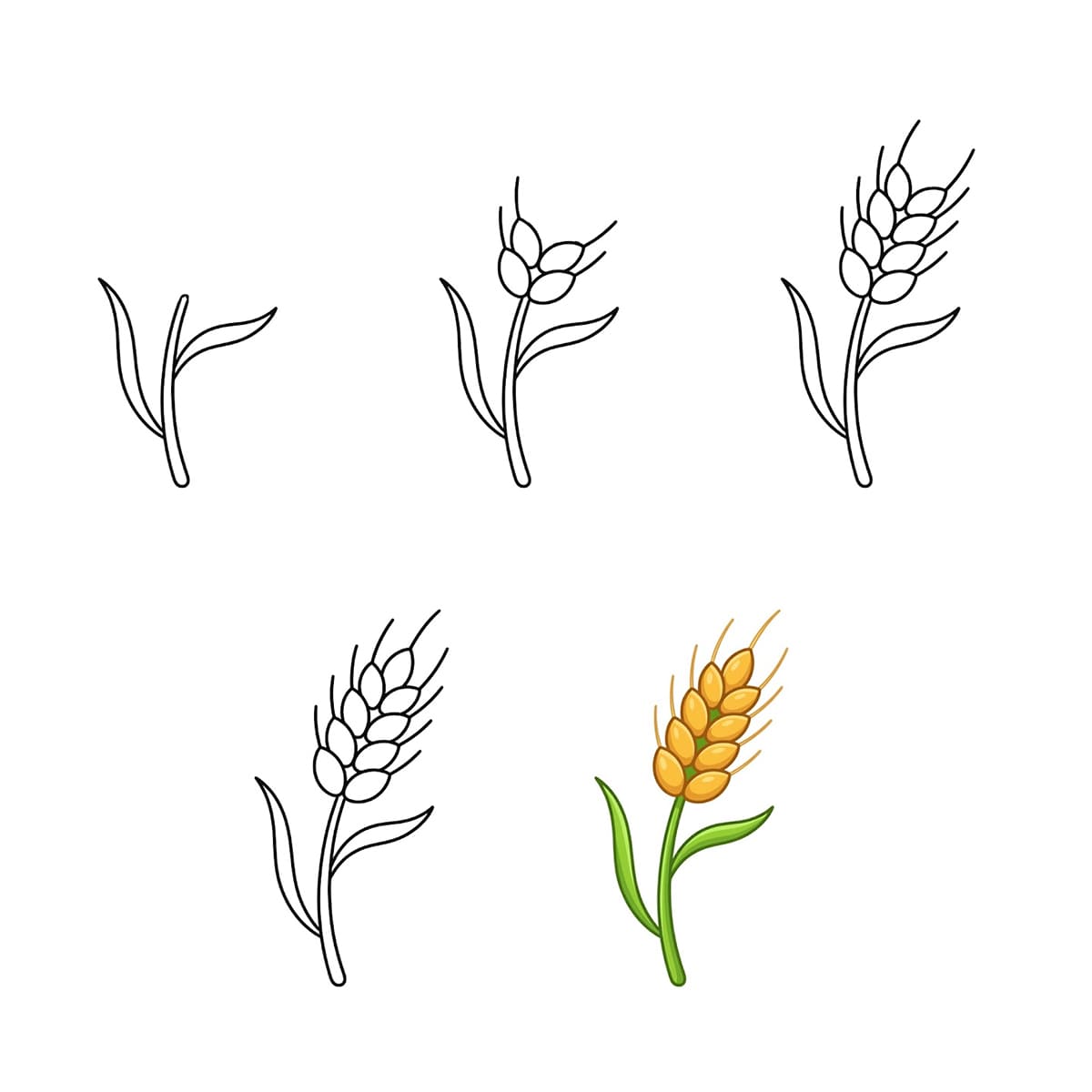 A Wheat Branch Drawing Ideas