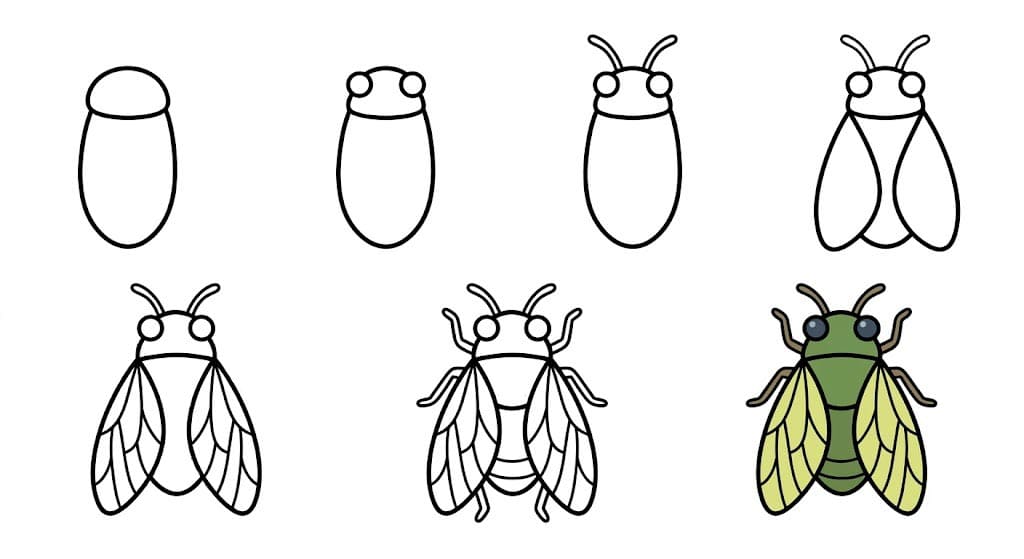 A cartoon cicada Drawing Ideas