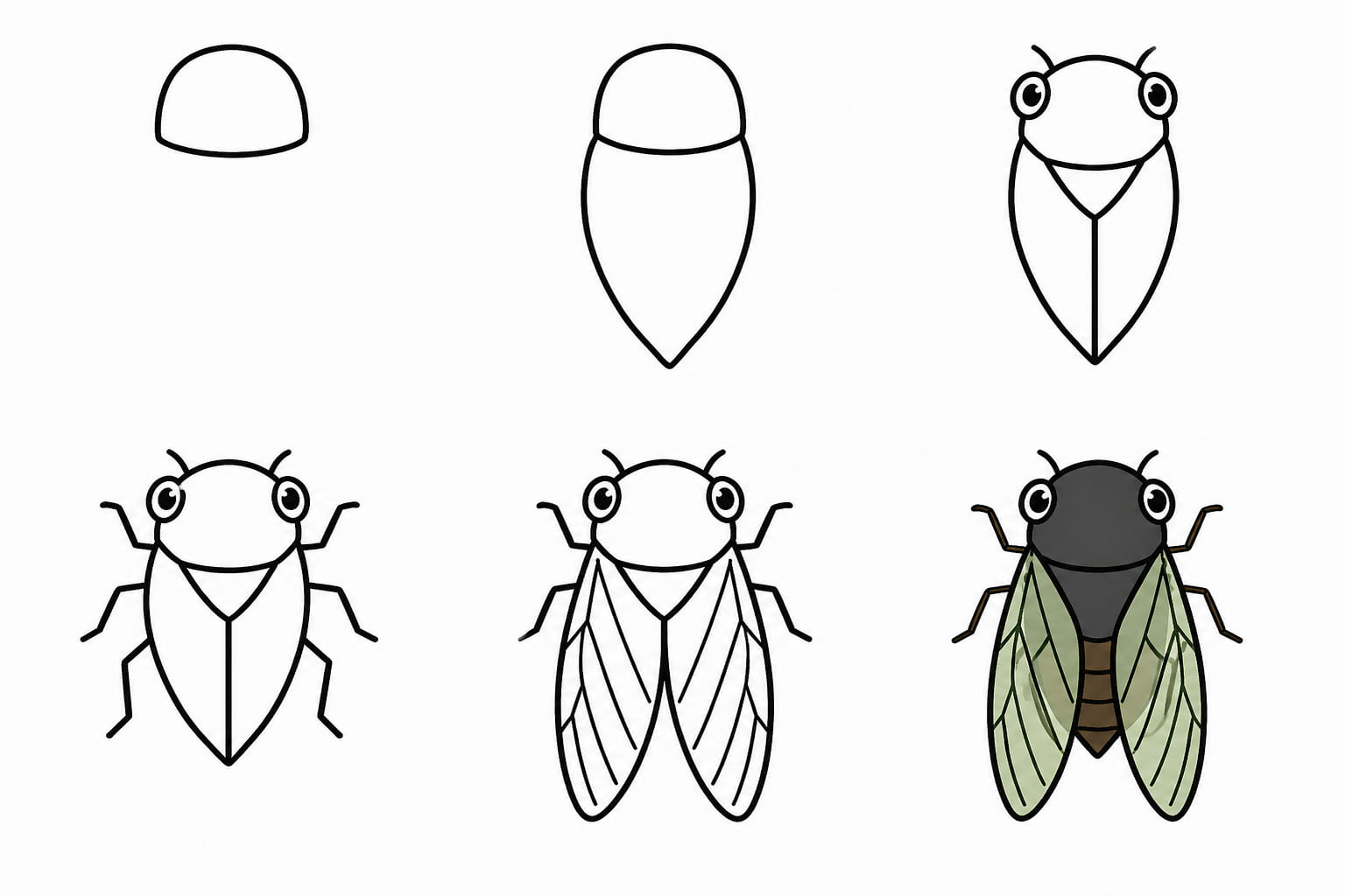 A simple cicada Drawing Ideas