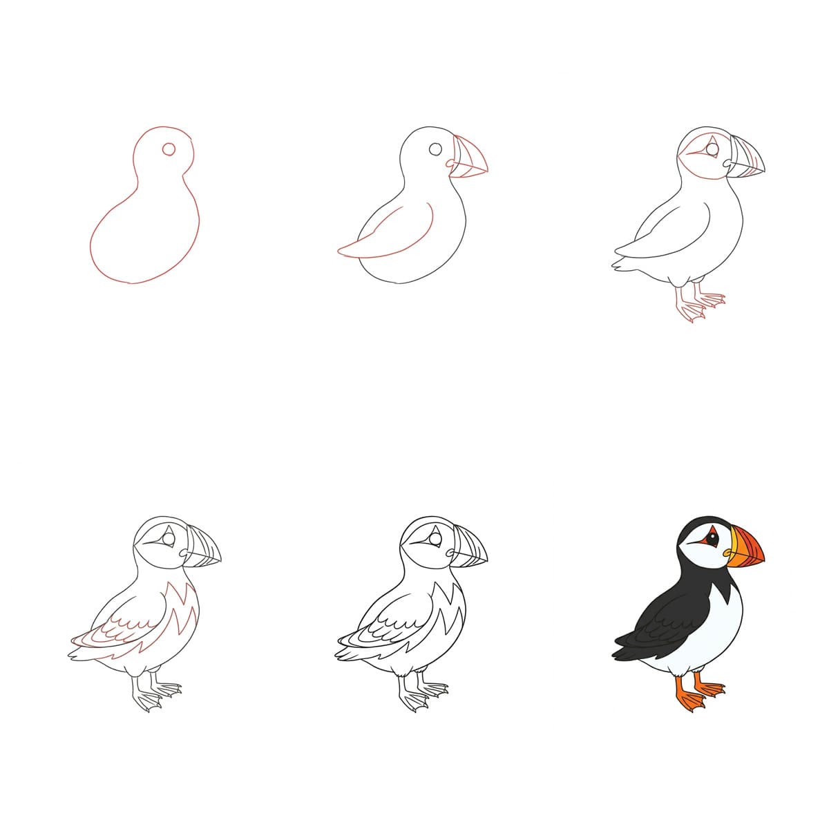 Atlantic Puffin Drawing Ideas