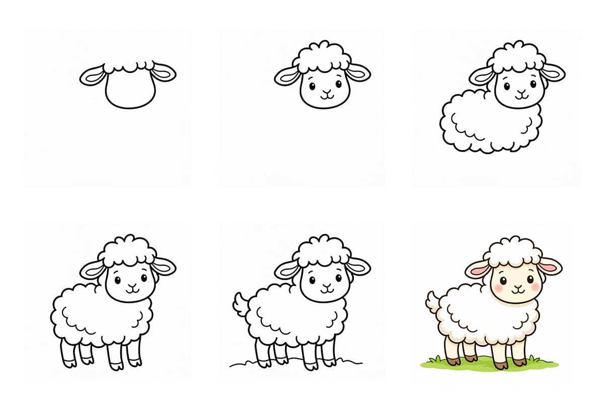 Baby Lamb Drawing Ideas