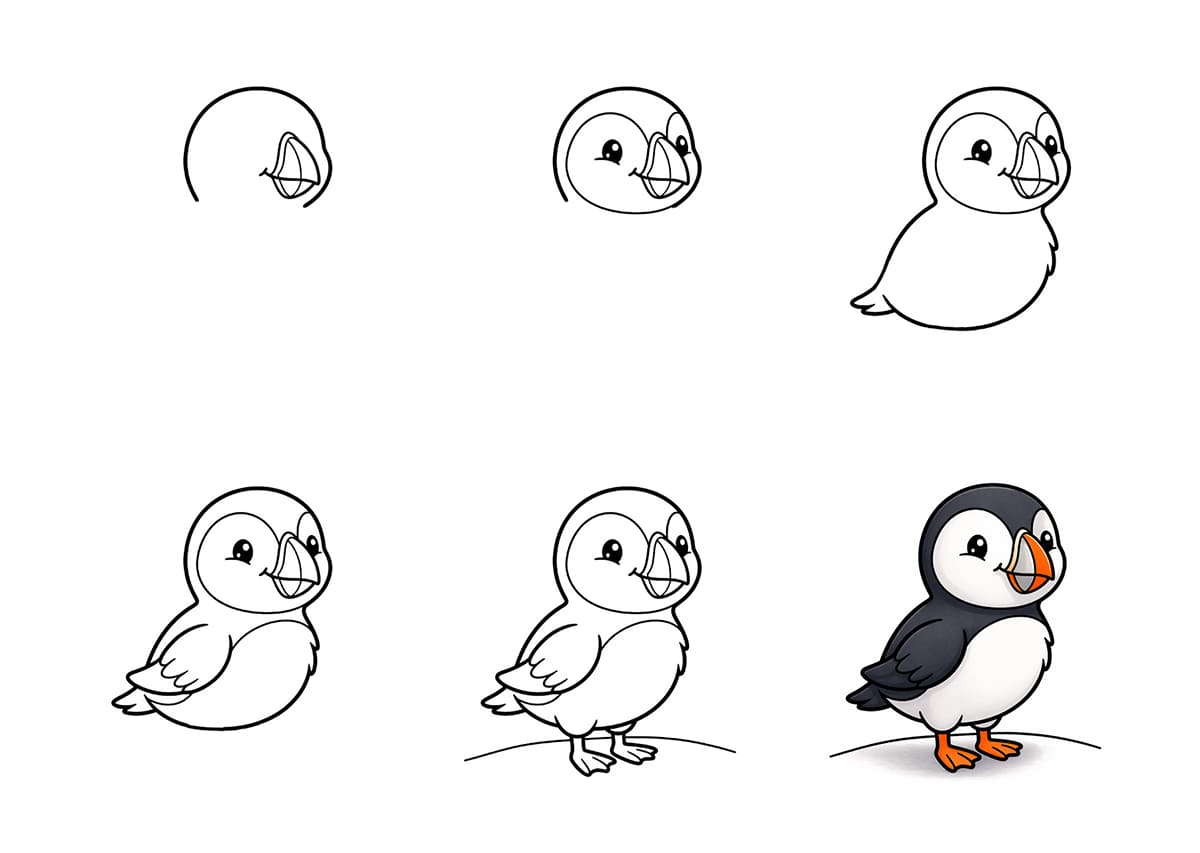 Baby Puffin Drawing Ideas