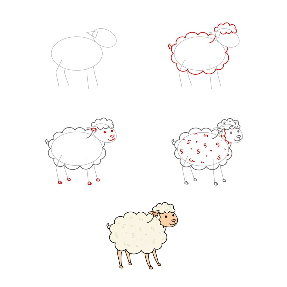 Basic Lamb Drawing Ideas