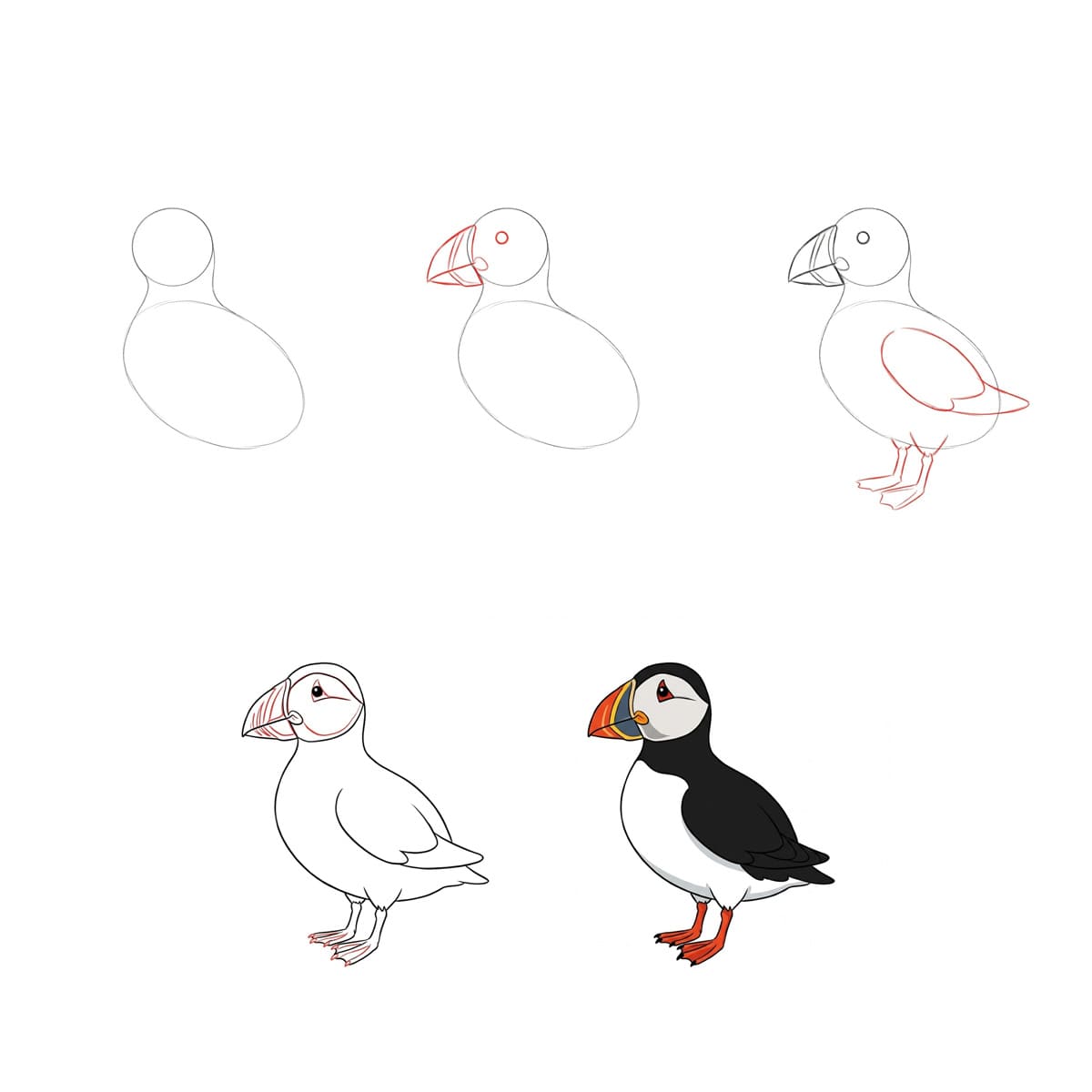 Basic Puffin Drawing Ideas