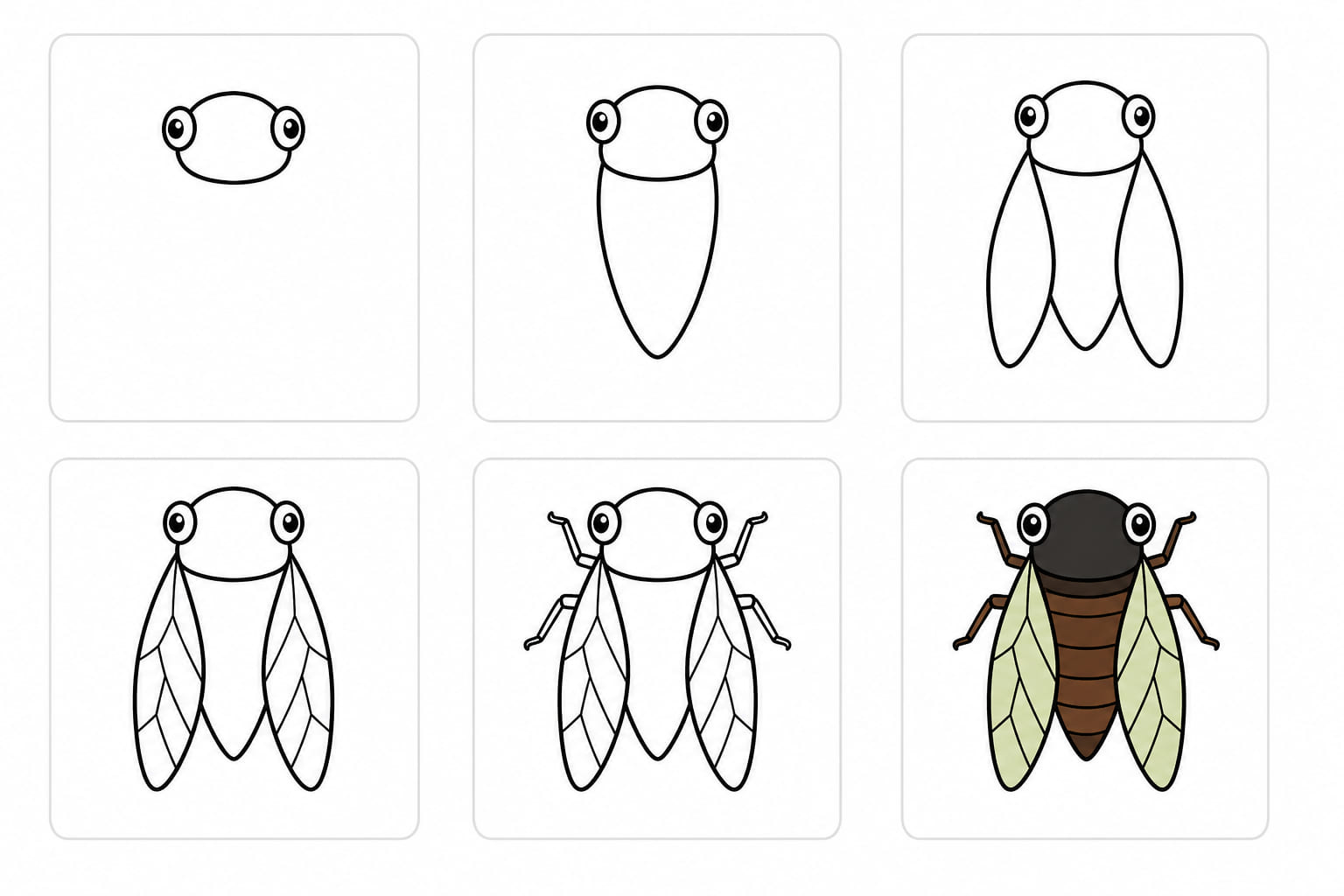 Brown cicada Drawing Ideas