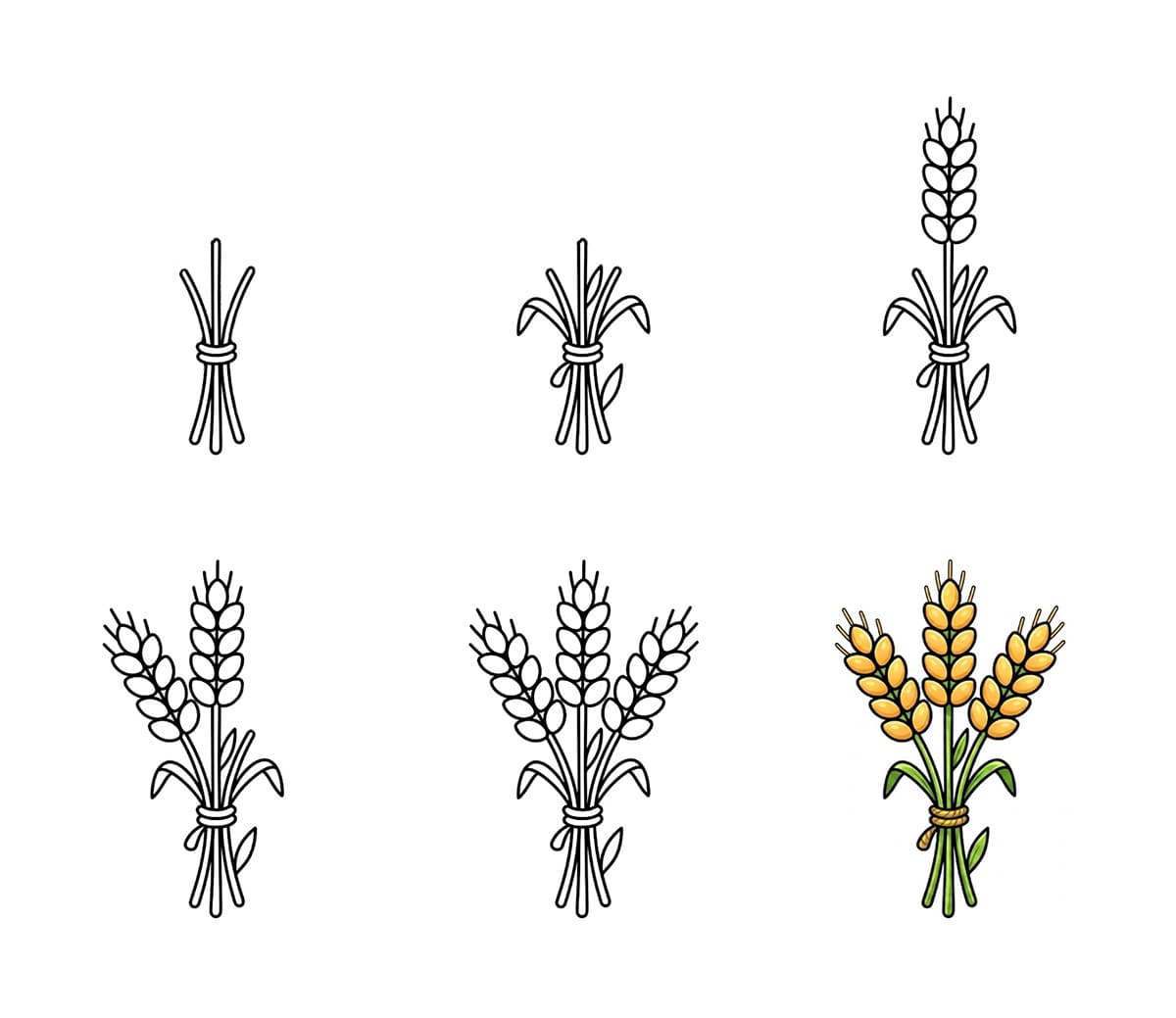 Wheat Drawing Ideas