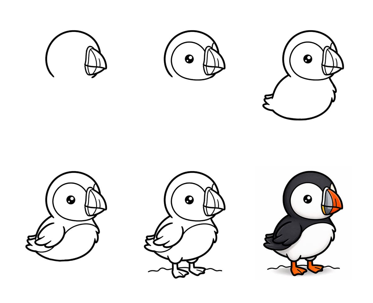 Cute Cartoon Puffin Drawing Ideas