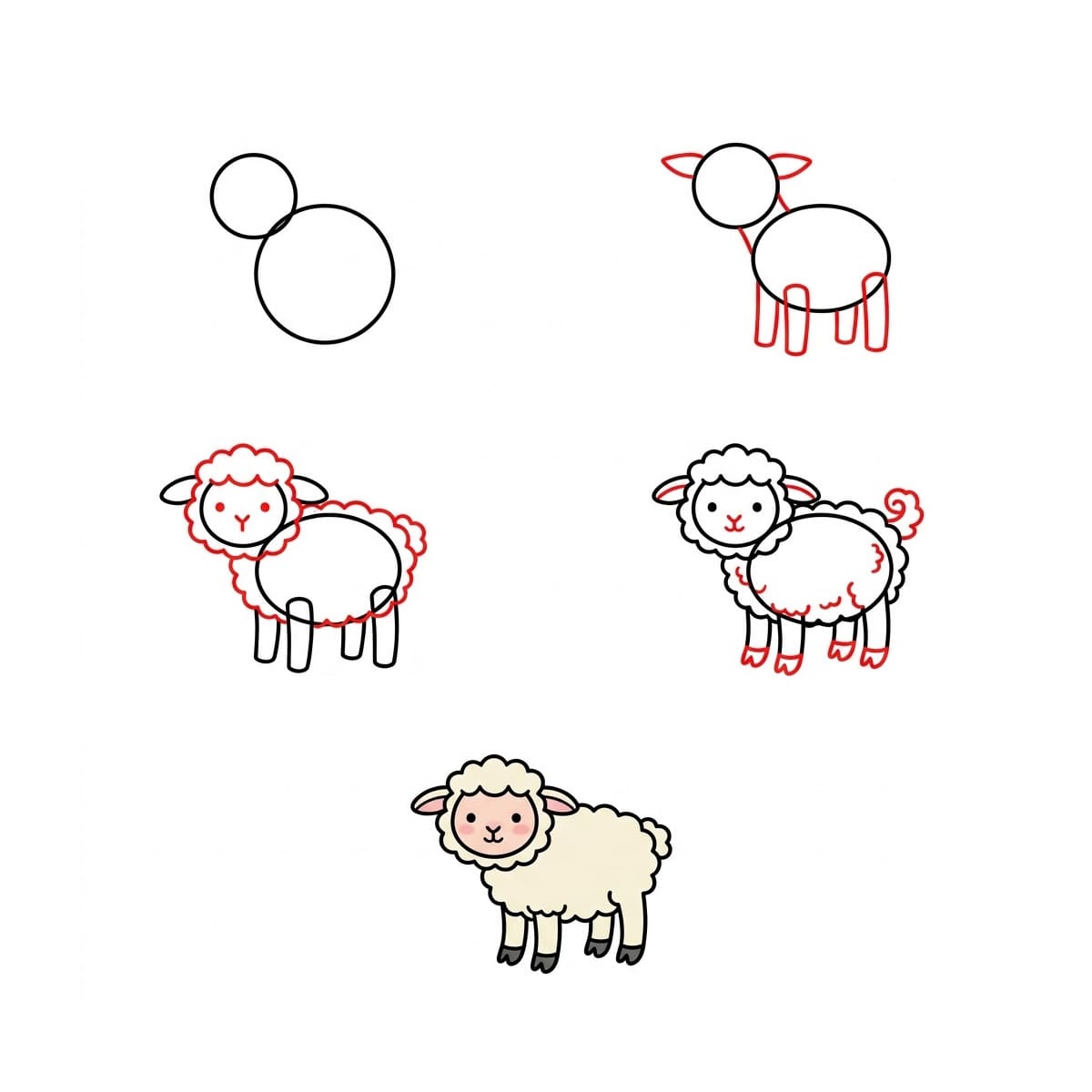 Little Lamb Drawing Ideas