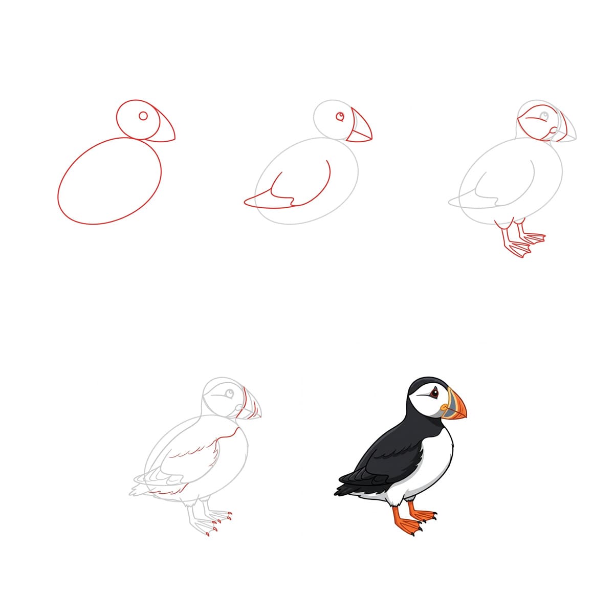 Sea Puffin Drawing Ideas