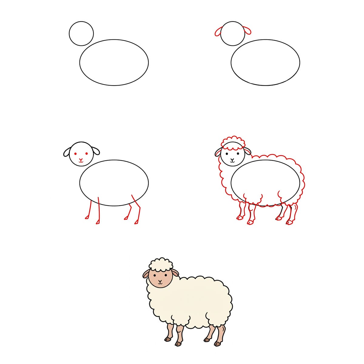 Simple Lamb Drawing Ideas