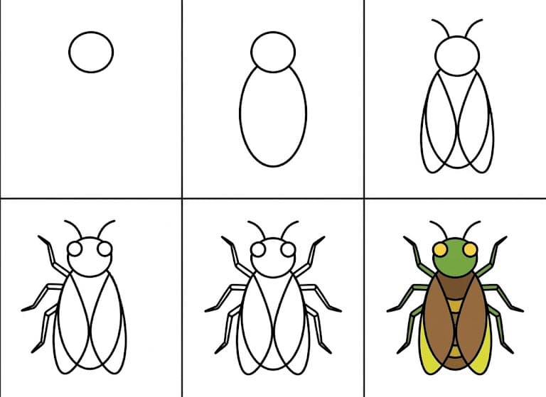 Simple cicada Drawing Ideas
