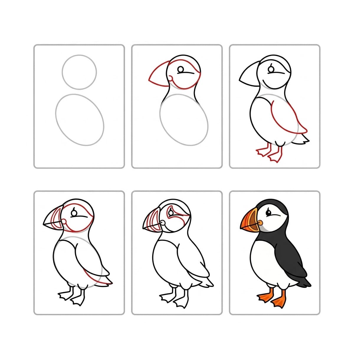 The Puffin Bird Drawing Ideas