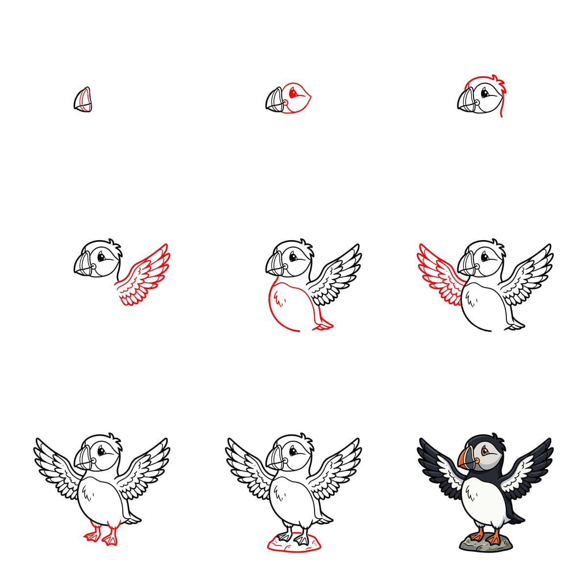 The Puffin seabird Drawing Ideas