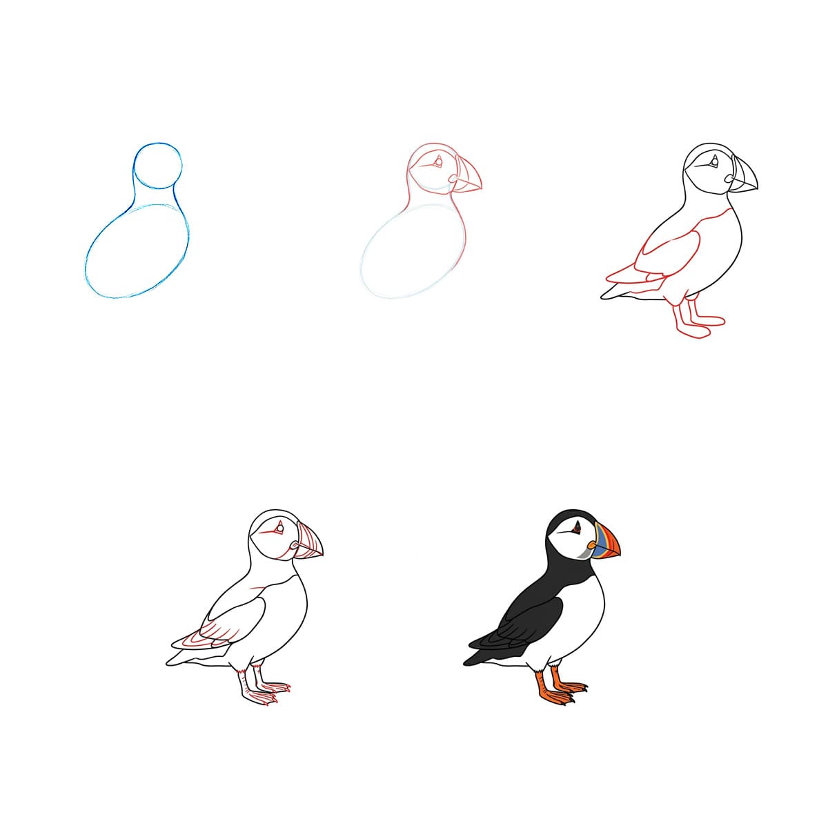 The Sea Puffin Drawing Ideas