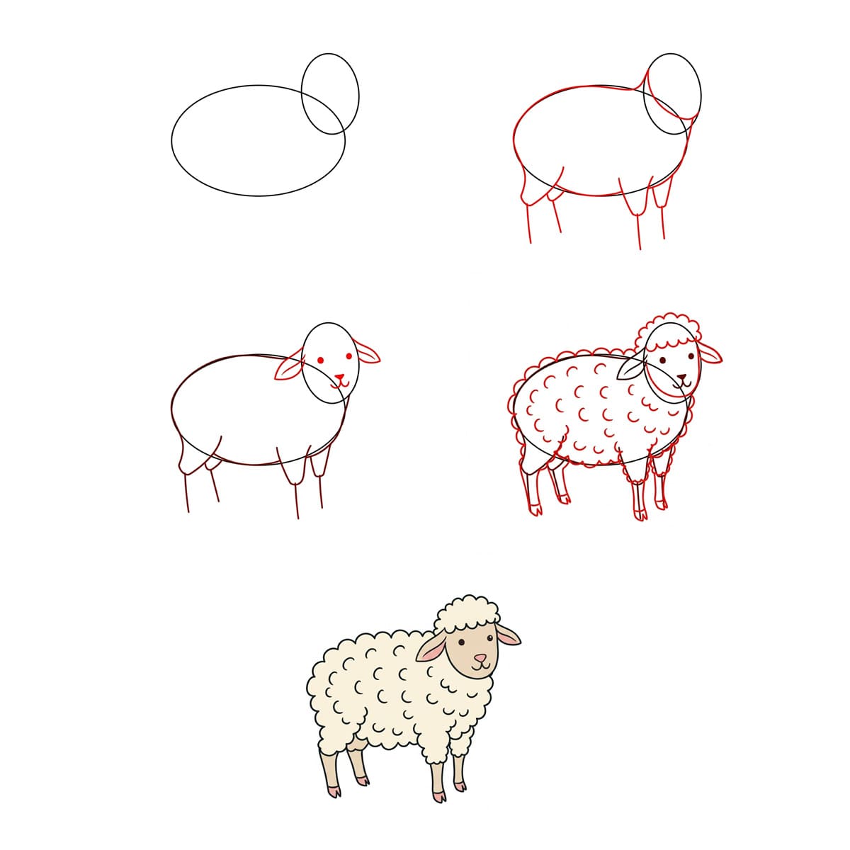 White Lamb Drawing Ideas