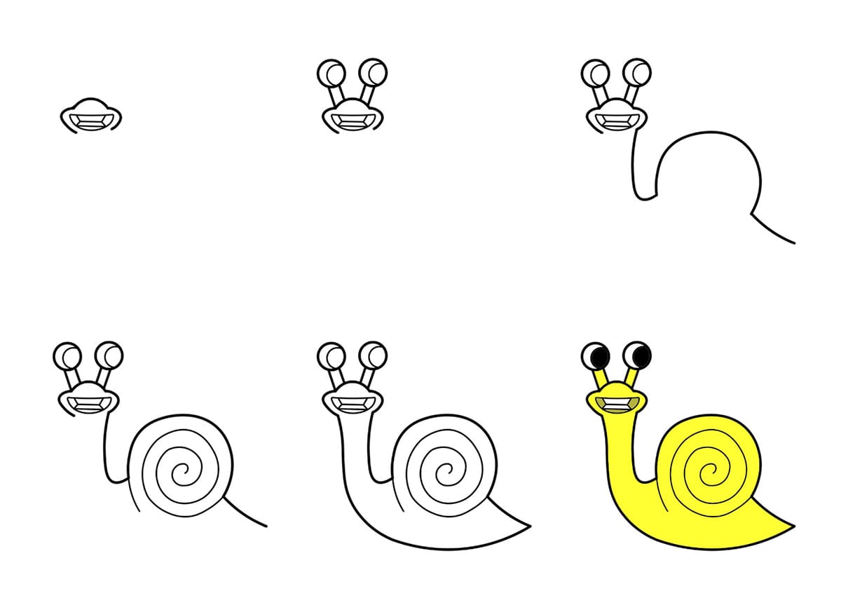 Zephyr Snail Drawing Ideas