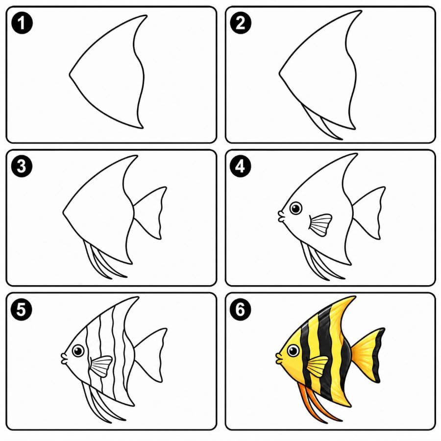 Angelfish with big eye Drawing Ideas
