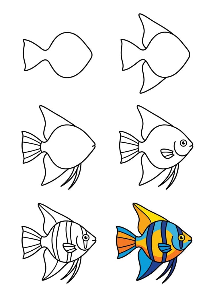 Aquarium Angelfish Drawing Ideas