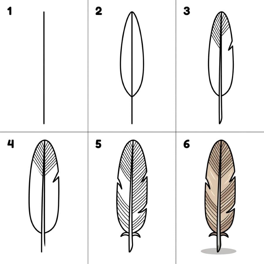 Long straight feather Drawing Ideas