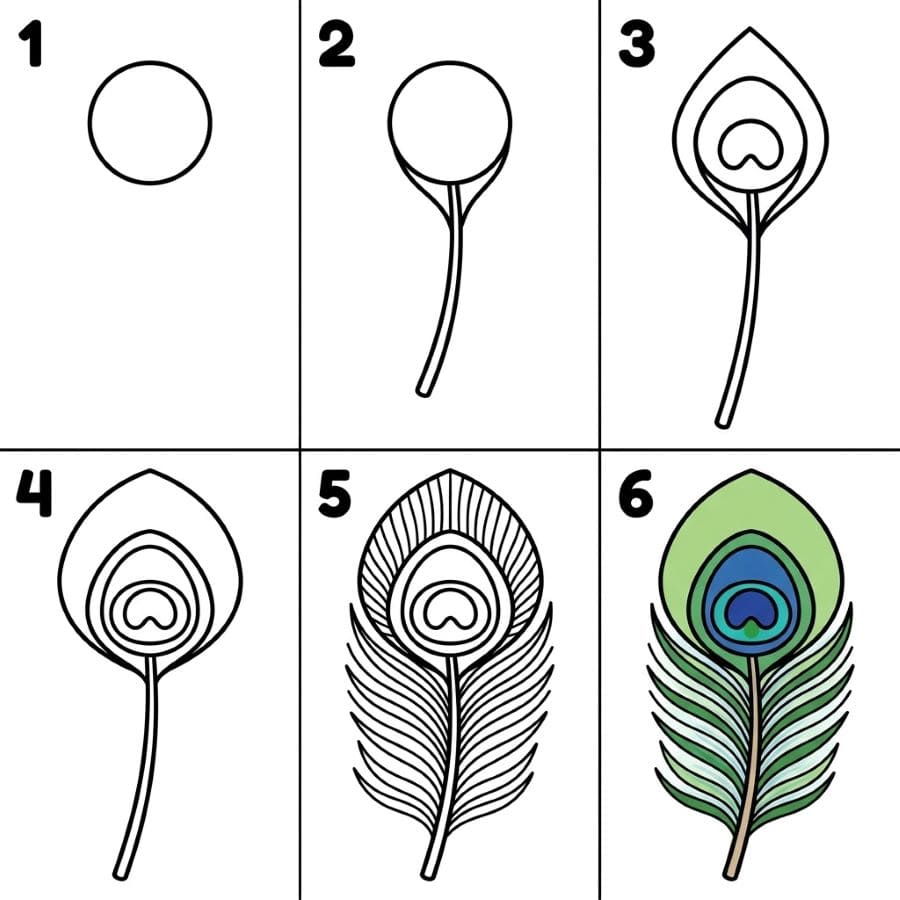 Simple peacock feather Drawing Ideas