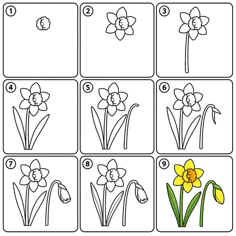 Beautiful daffodil Drawing Ideas