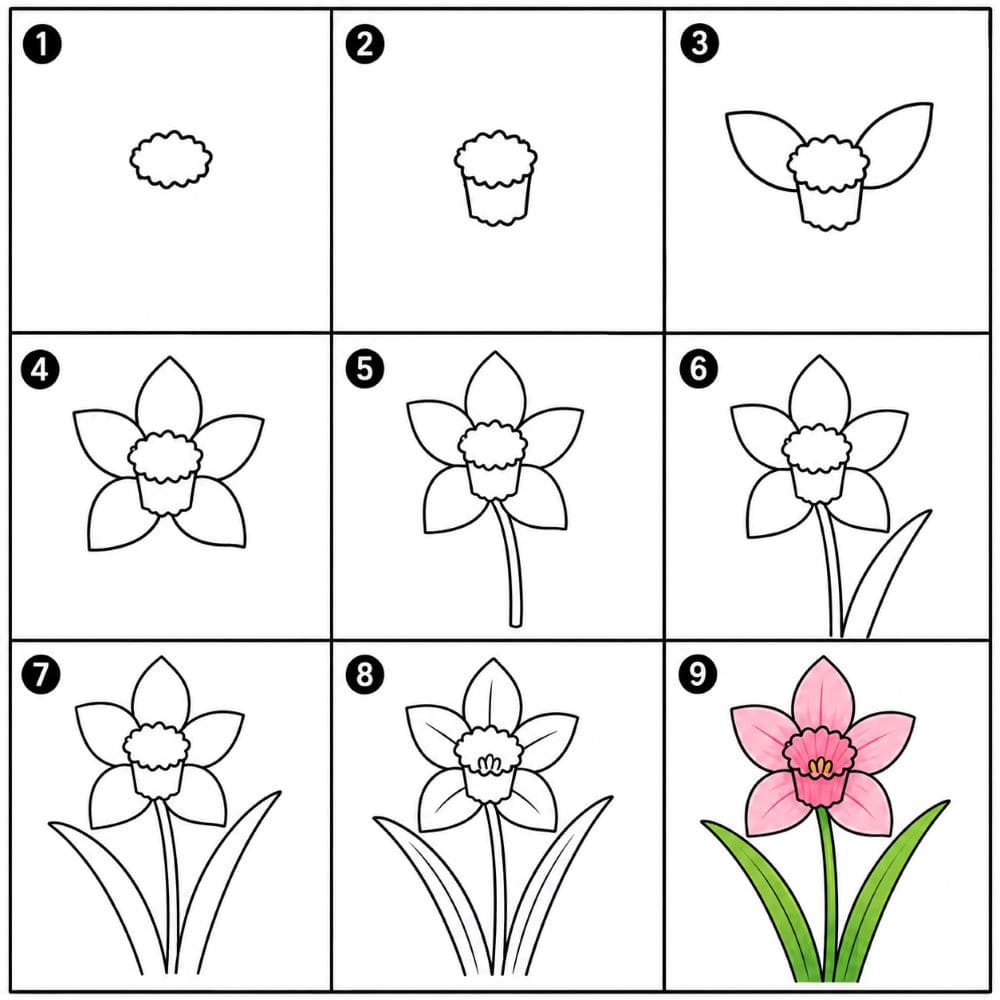 Pink daffodil Drawing Ideas