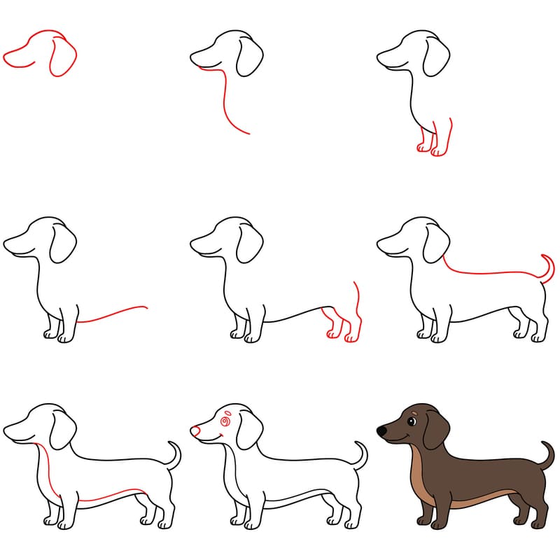 Brown dachshund Drawing Ideas