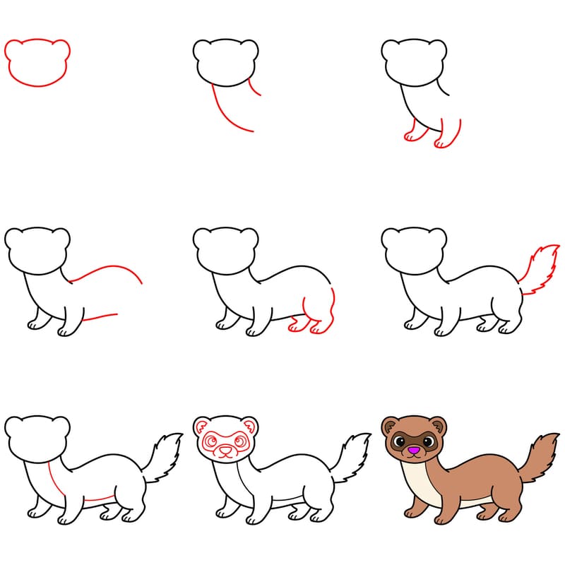 Ferret Drawing Ideas