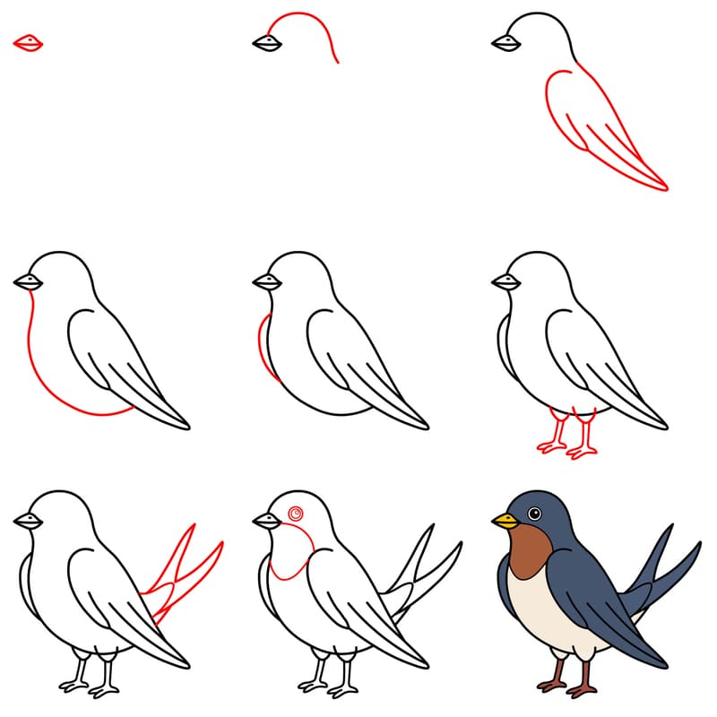 Cartoon swallow bird Drawing Ideas
