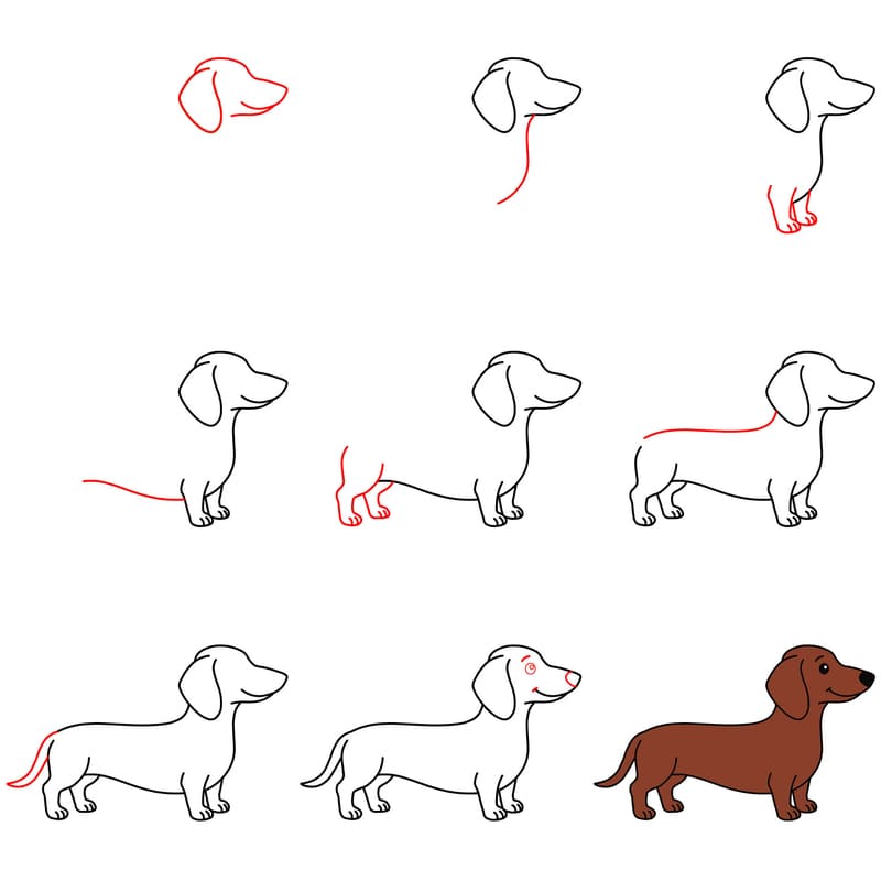 Dachshund dog Drawing Ideas