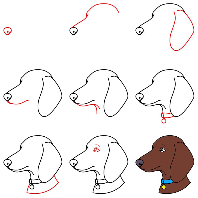 Dachshund face Drawing Ideas