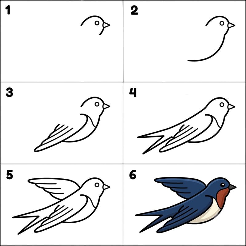 Detailed swallow bird Drawing Ideas