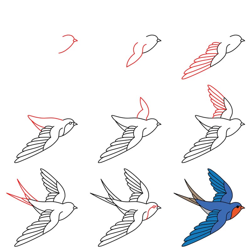 Swallow Bird Drawing Ideas