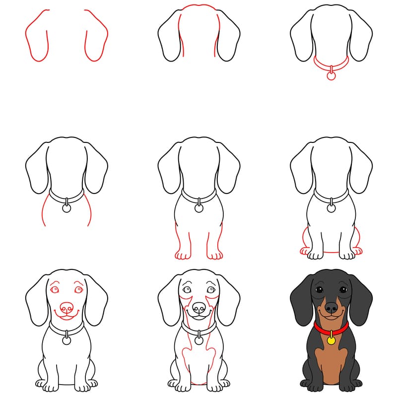 Dachshund Drawing Ideas