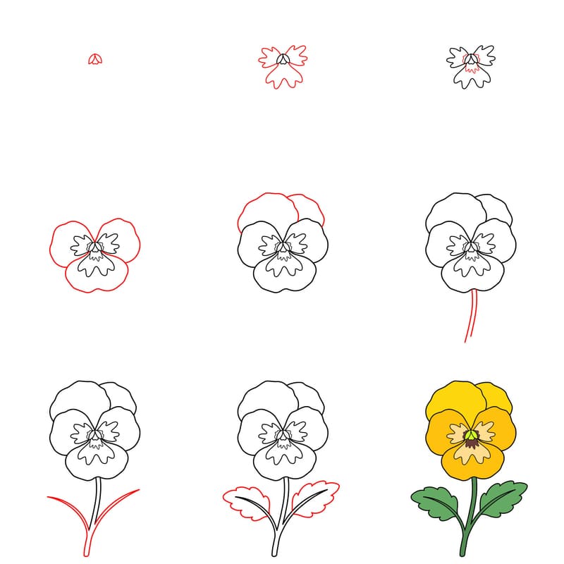 Pansy branch Drawing Ideas