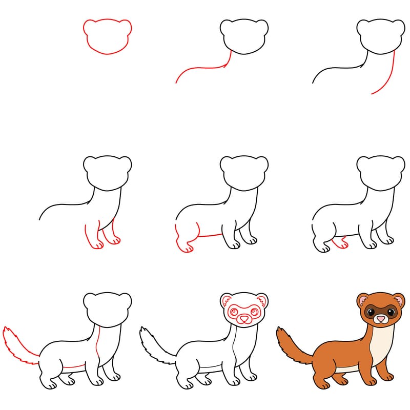 Peaceful ferret Drawing Ideas