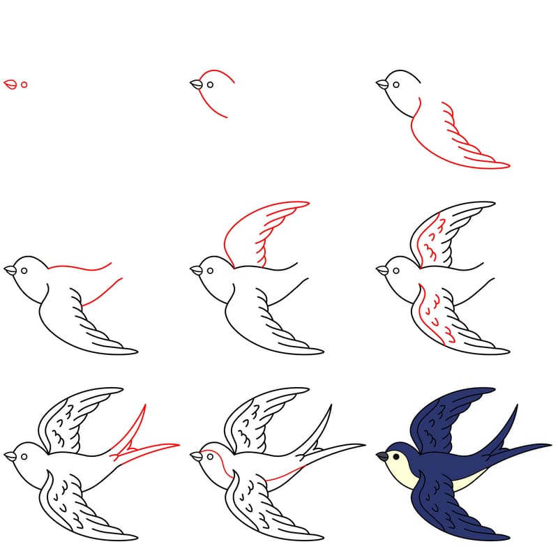 Peaceful swallow bird Drawing Ideas