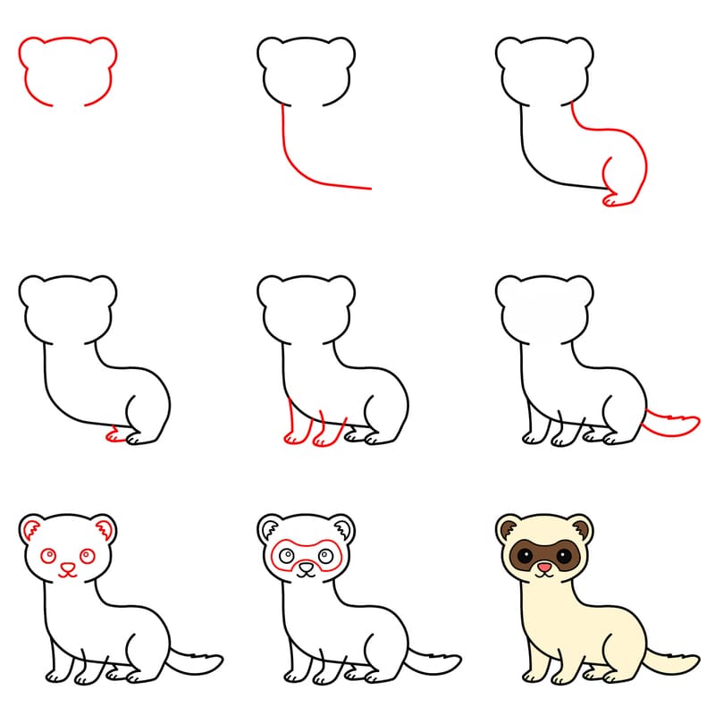 Playful ferret Drawing Ideas